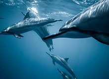 曼城搅局！赫塔德国新秀成四雄争夺对象，巴萨“低成本”计划能否自救？